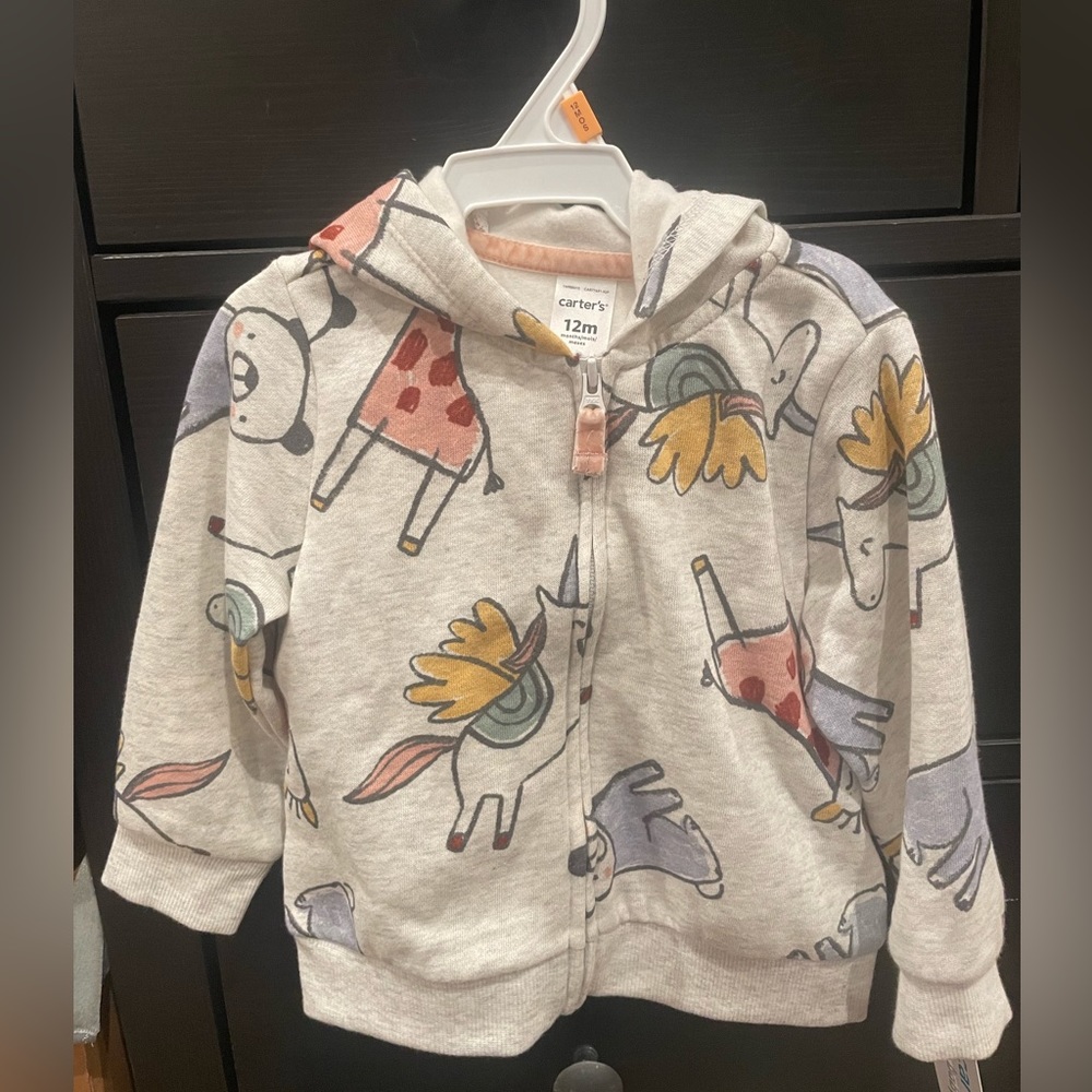Carter’s hoodie and sweats set